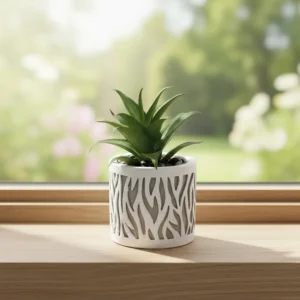 Succulent plant 11.5cm with ceramic vase1