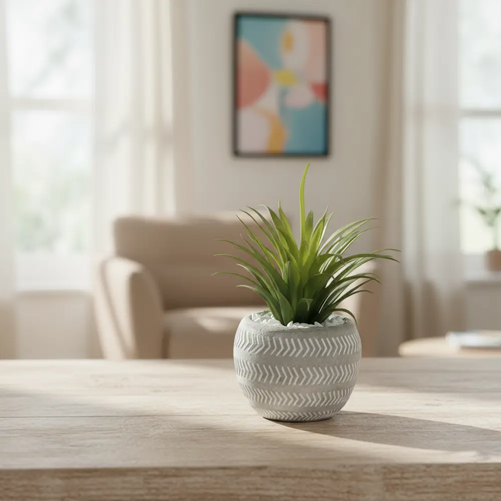 Succulent plant 18cm with ceramic vase1