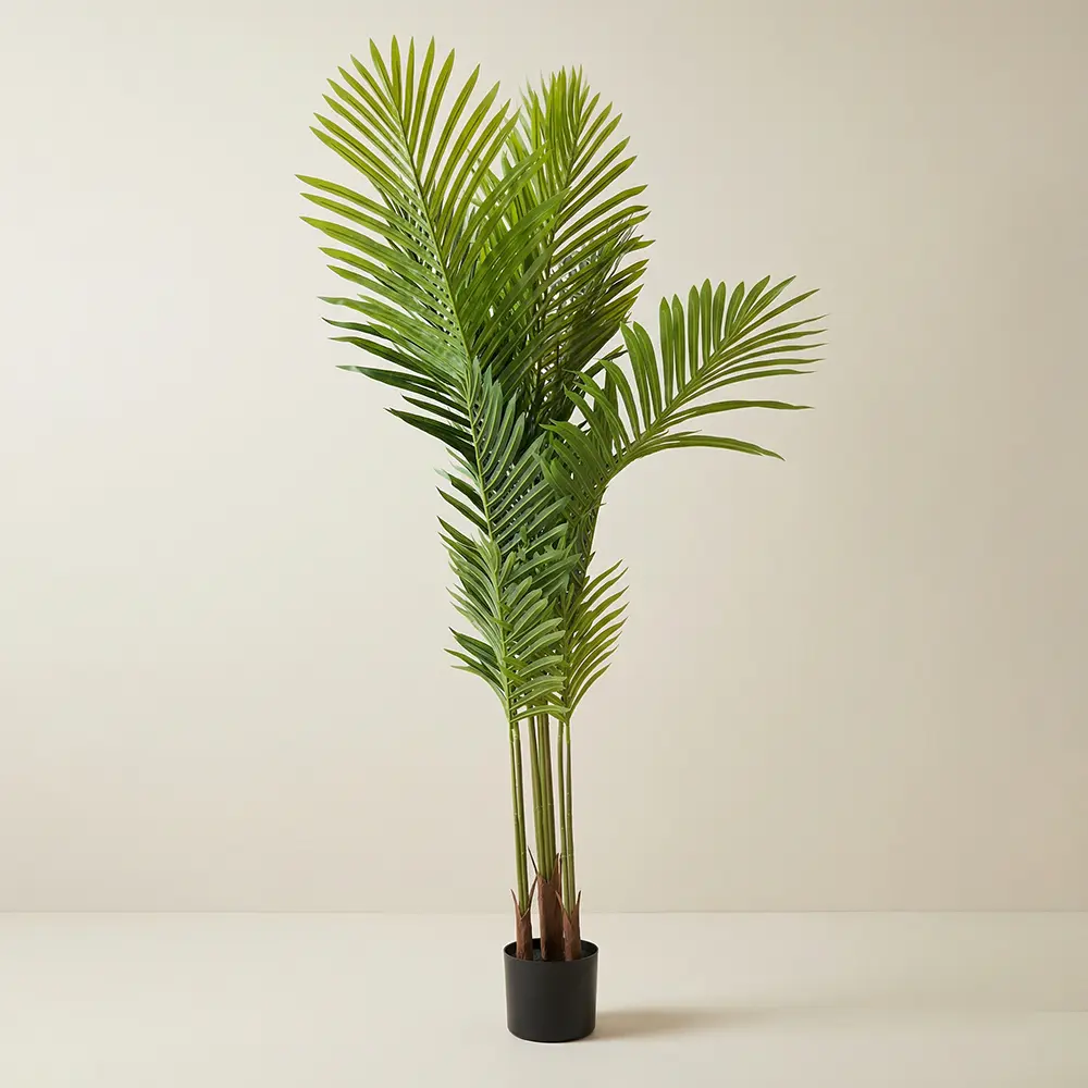Areca Palm 150cm Tree
