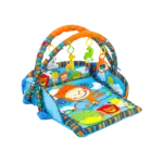 Baby Activity Play Gym with Padded Mat