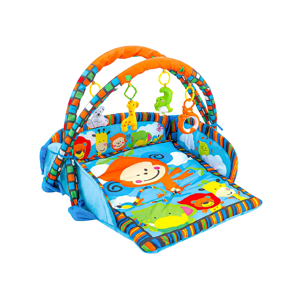 Baby Activity Play Gym with Padded Mat