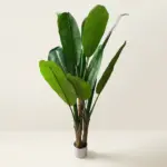 Bird of Paradise 150cm Tree