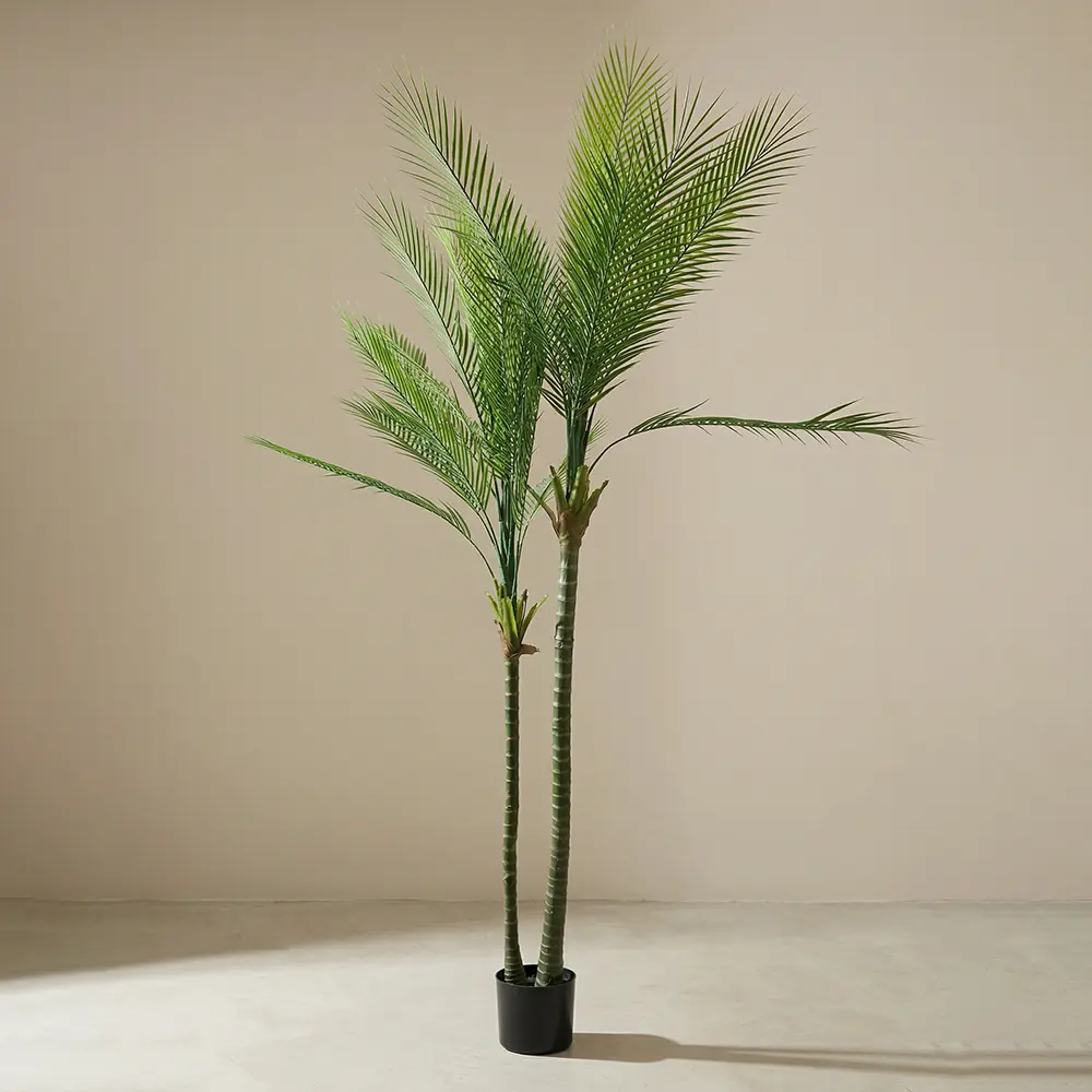 Date Palm 210cm Tree