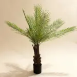 Date Palm 90cm Tree