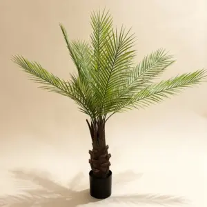 Date Palm 90cm Tree