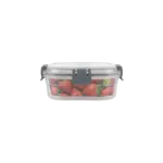 Freshlife 0.3L Trasparent Grey Storage Box