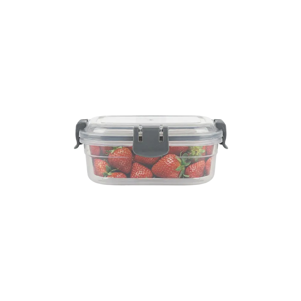 Freshlife 0.3L Trasparent Grey Storage Box