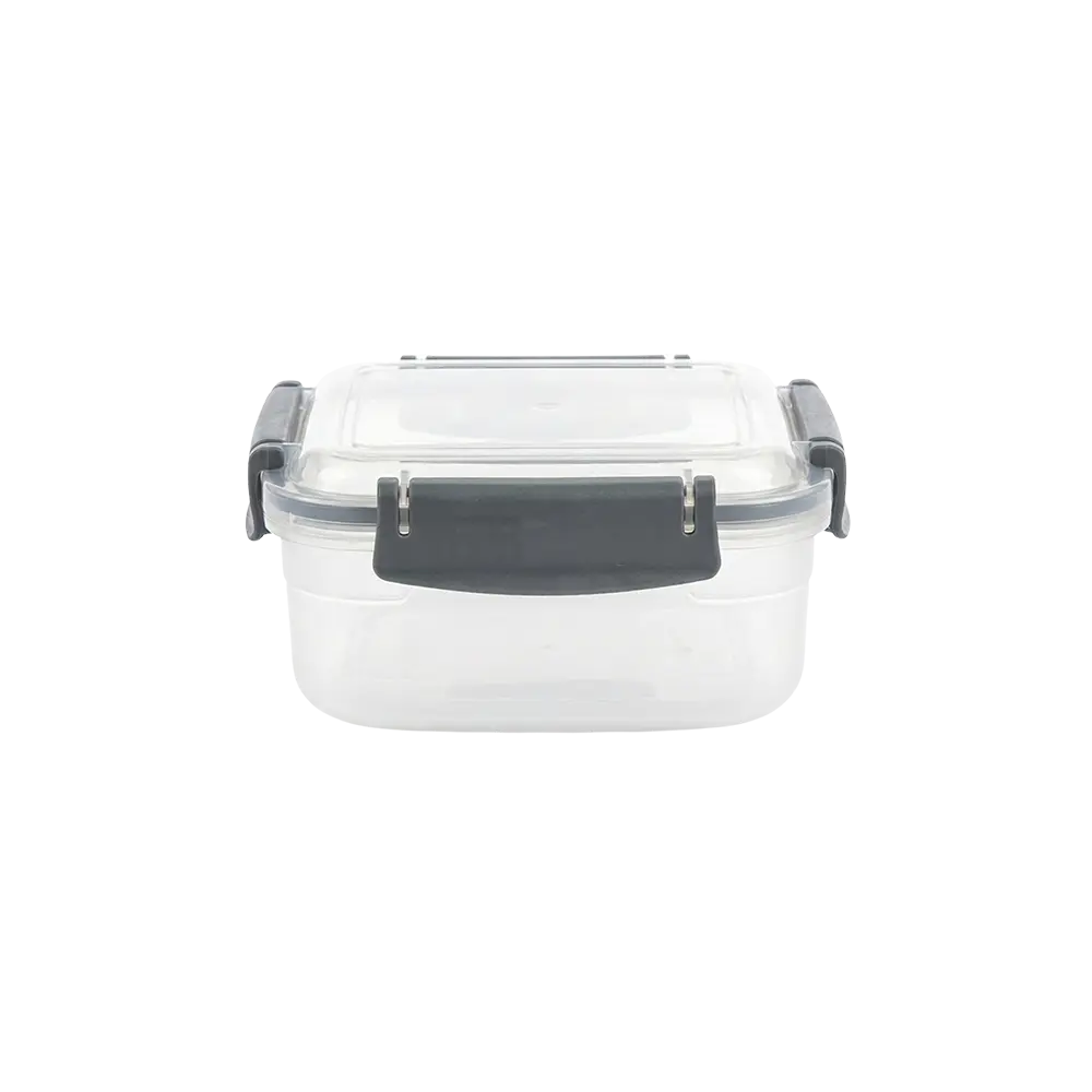 Freshlife 0.6L Trasparent Grey Storage Box