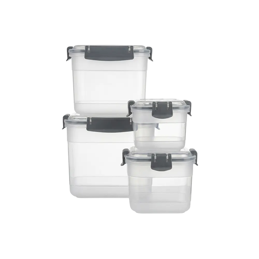 Freshlife 4pcs Trasparent Storage Boxes Set