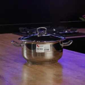 Hasceher 22cm Stainless Pot1