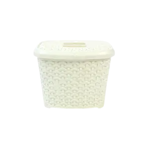 Hobby Life 2.5L Rattan White Plastic Storage with Lid