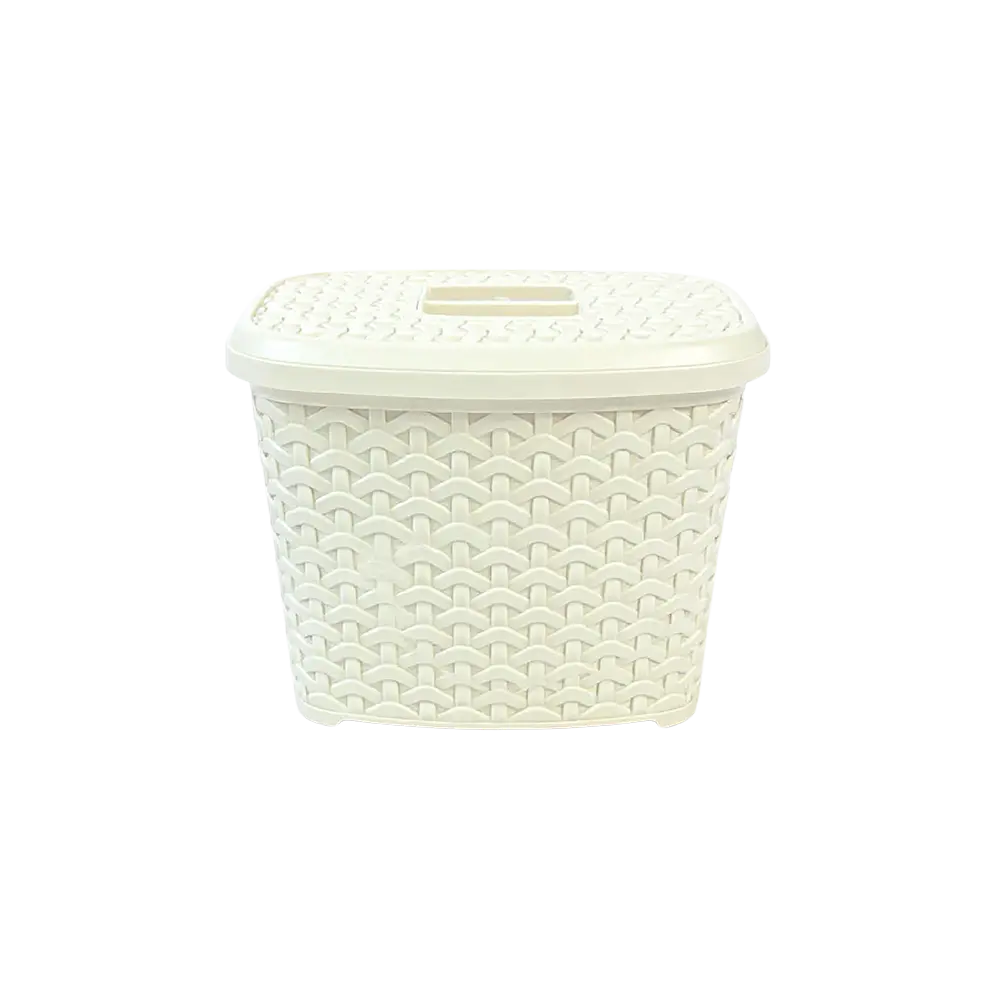 Hobby Life 2.5L Rattan White Plastic Storage with Lid