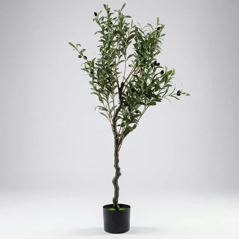 Olive Green Tree