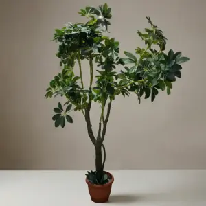 Schefflera 126cm Tree