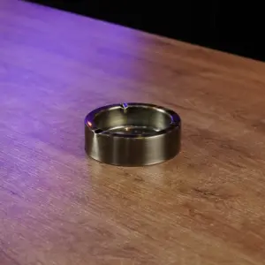 Stainless 11cm Round Shape Bronze Ashtray1