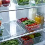 Style-House-Rectangular-Fridge-Container-with-Lid1 Style House Rectangular Fridge Container with Lid1