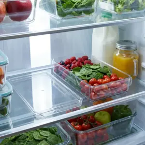 Style House Rectangular Fridge Container with Lid1