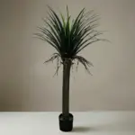 Yucca Green Tree