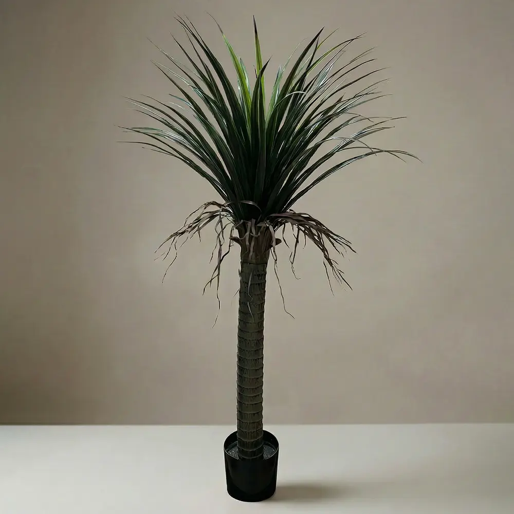 Yucca Green Tree