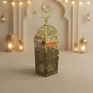 Hf 20260127 074837 5bc8a91a 4578 4391 8cad 25f0cf2dffef