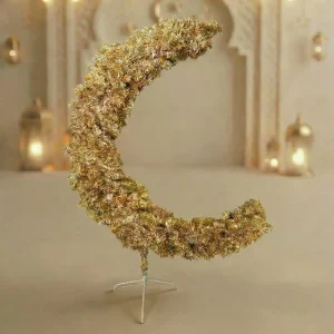 Hf 20260129 120657 a5a60e81 4f0c 4732 aab1 e3ad9e89e3b6