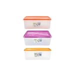3 Colors of FreshLife 4L Rectangular Storage Container