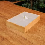 Rectangular-Wooden-Organizer-with-Plexi-Lid-6-Compartments1 Rectangular Wooden Organizer with Plexi Lid 6 Compartments1