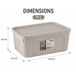 Dunya 17L Unit Multipurpose 46.2 x 31.2 x 15.2 cm Storage Box with Lid