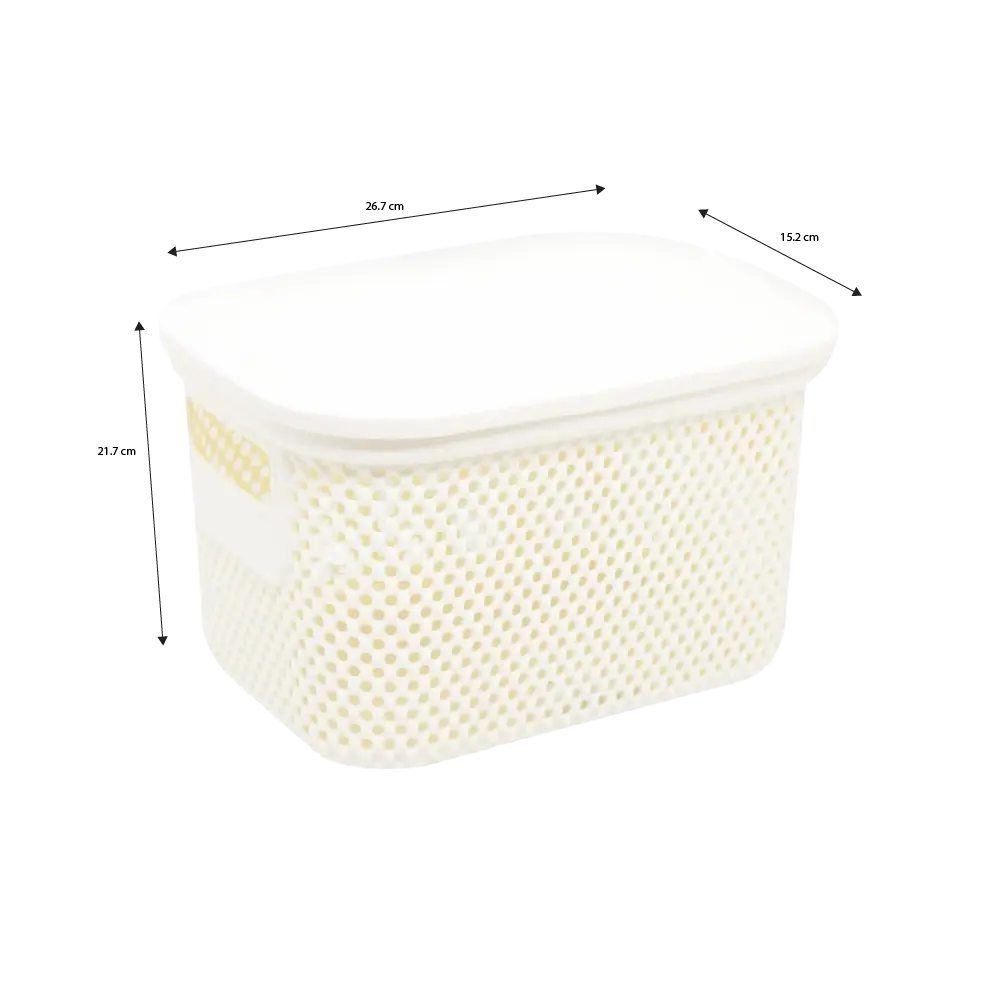 Hobby Life Nickel Storage Box with Lid & Side Handles 6L 26.7 x 21.7 x 15.2 cm Model 04 1287 Assorted Colors1