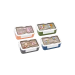 Kids Lunch Box with Built In Cutlery Storage Transparent Printed Lid Orange, Green, Gray & Blue